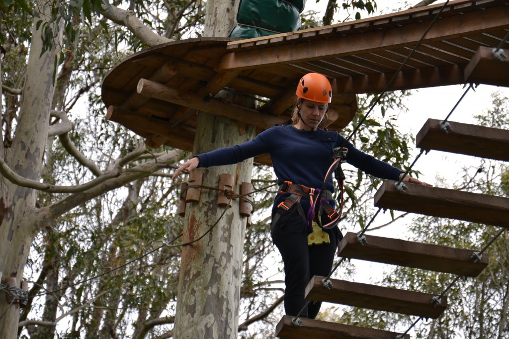 adventure-training-ropes-courses Tree Top adventures