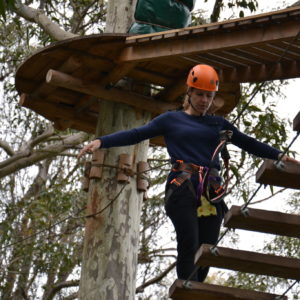 adventure-training-ropes-courses Tree Top adventures